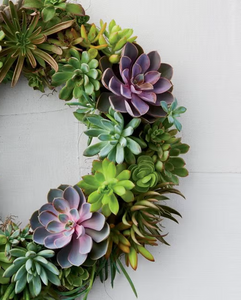 Newcastle // Succulent Living Wreath Workshop