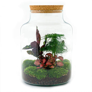 Newcastle //Terrarium Workshops