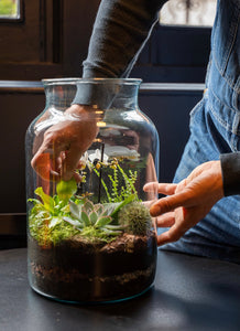 Warrenpoint // Terrarium Workshop