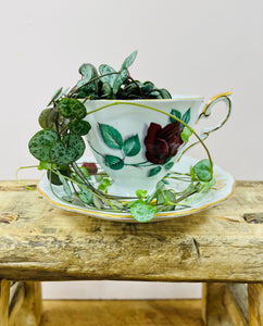 String of Hearts Teacup and Saucer